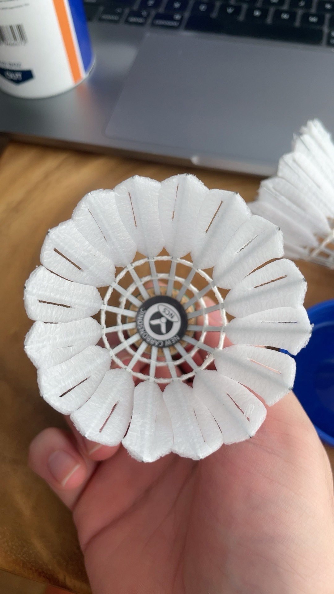 员和教练组 员和教练组