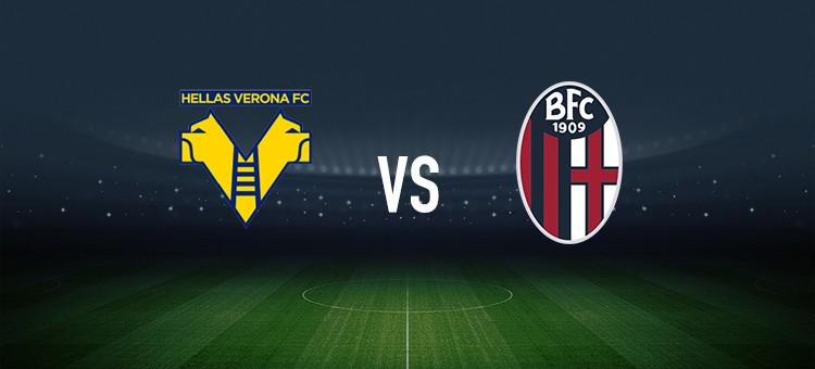 本赛季稳步 本赛季稳步