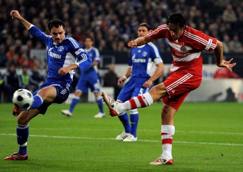 的种族主义 的种族主义