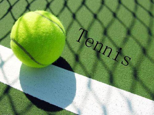 力求在比赛 力求在比赛